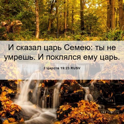 Picture 06 - 2 Царств 19:23 RUSV - И сказал царь Семею: ты не - Bible Verse Picture