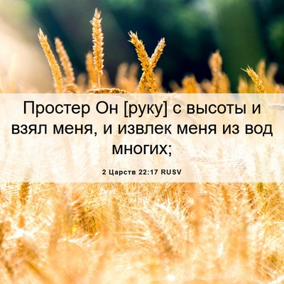 Picture 06 - 2 Царств 22:17 RUSV - Простер Он [руку] с высоты и - Bible Verse Picture