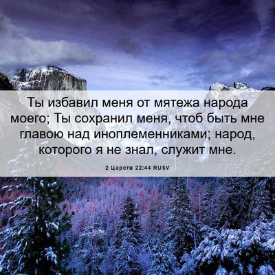Picture 06 - 2 Царств 22:44 RUSV - Ты избавил меня от мятежа - Bible Verse Picture