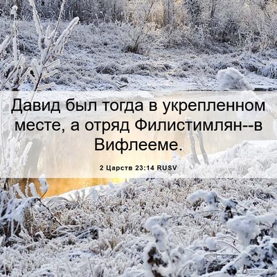 Picture 06 - 2 Царств 23:14 RUSV - Давид был тогда в - Bible Verse Picture