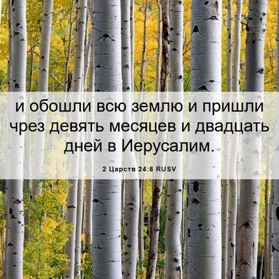 Picture 06 - 2 Царств 24:8 RUSV - и обошли всю землю и пришли - Bible Verse Picture