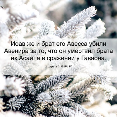 Picture 06 - 2 Царств 3:30 RUSV - Иоав же и брат его Авесса - Bible Verse Picture