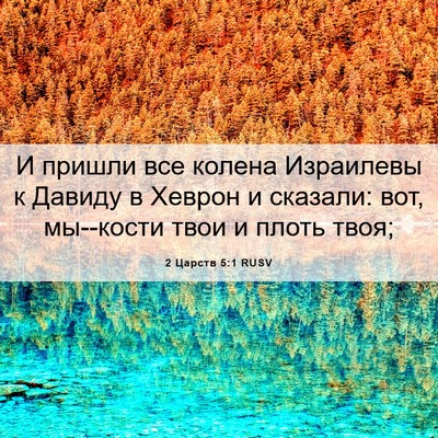 Picture 06 - 2 Царств 5:1 RUSV - И пришли все колена - Bible Verse Picture
