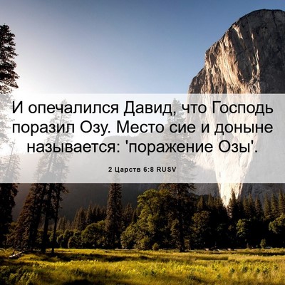 Picture 06 - 2 Царств 6:8 RUSV - И опечалился Давид, что - Bible Verse Picture
