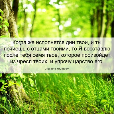 Picture 06 - 2 Царств 7:12 RUSV - Когда же исполнятся дни - Bible Verse Picture