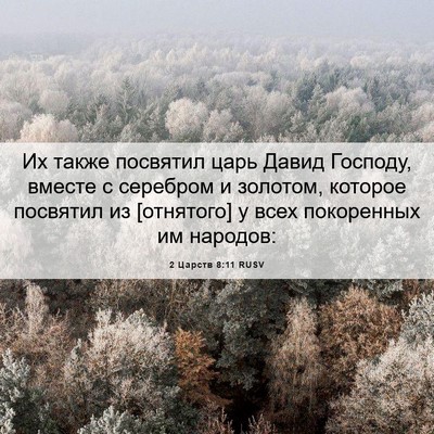 Picture 06 - 2 Царств 8:11 RUSV - Их также посвятил царь - Bible Verse Picture