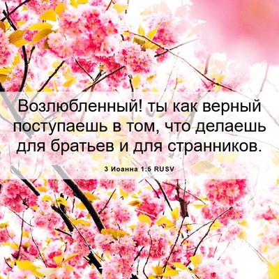 Picture 06 - 3 Иоанна 1:5 RUSV - Возлюбленный! ты как - Bible Verse Picture