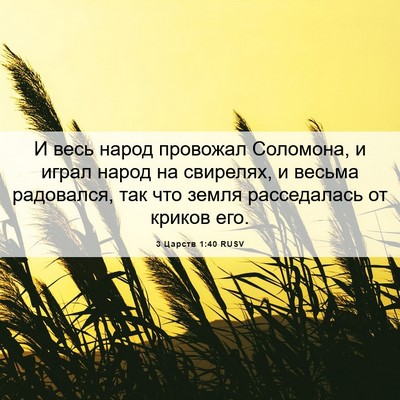 Picture 06 - 3 Царств 1:40 RUSV - И весь народ провожал - Bible Verse Picture