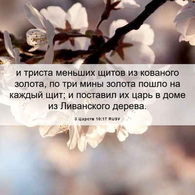 Picture 06 - 3 Царств 10:17 RUSV - и триста меньших щитов из - Bible Verse Picture