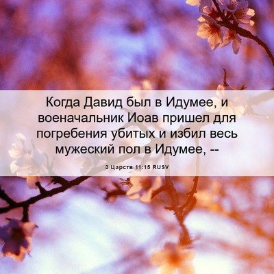 Picture 06 - 3 Царств 11:15 RUSV - Когда Давид был в Идумее, и - Bible Verse Picture