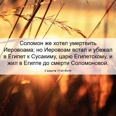 Picture 06 - 3 Царств 11:40 RUSV - Соломон же хотел умертвить - Bible Verse Picture