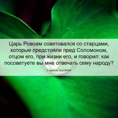 Picture 06 - 3 Царств 12:6 RUSV - Царь Ровоам советовался со - Bible Verse Picture