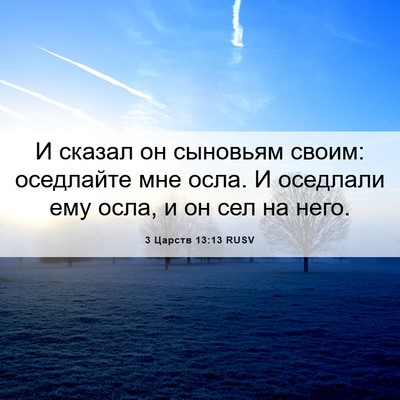 Picture 06 - 3 Царств 13:13 RUSV - И сказал он сыновьям своим: - Bible Verse Picture