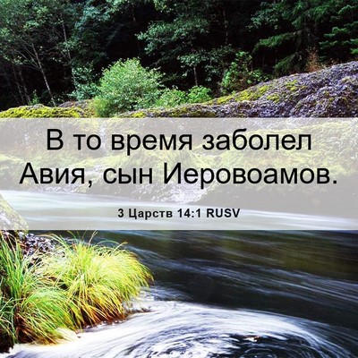 Picture 06 - 3 Царств 14:1 RUSV - В то время заболел Авия, - Bible Verse Picture