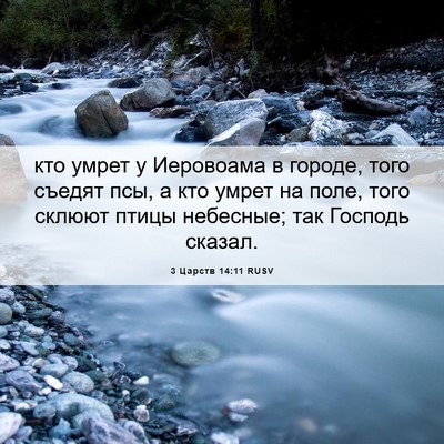 Picture 06 - 3 Царств 14:11 RUSV - кто умрет у Иеровоама в - Bible Verse Picture