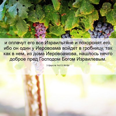 Picture 06 - 3 Царств 14:13 RUSV - и оплачут его все - Bible Verse Picture
