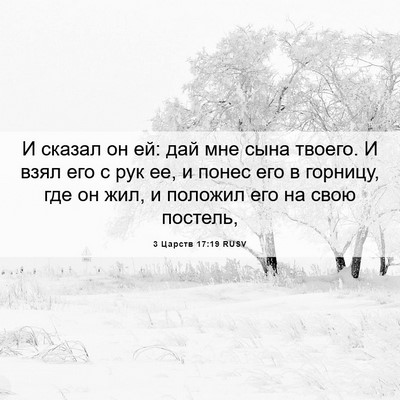 Picture 06 - 3 Царств 17:19 RUSV - И сказал он ей: дай мне сына - Bible Verse Picture