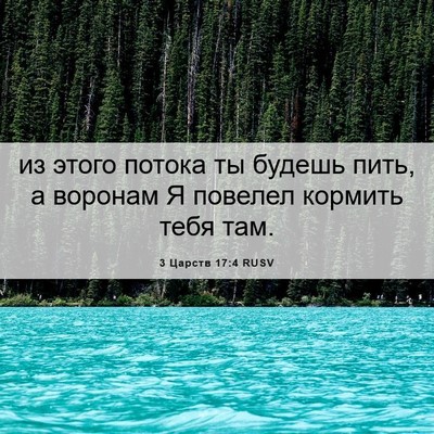 Picture 06 - 3 Царств 17:4 RUSV - из этого потока ты будешь - Bible Verse Picture