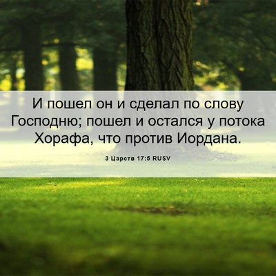 Picture 06 - 3 Царств 17:5 RUSV - И пошел он и сделал по - Bible Verse Picture