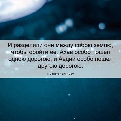 Picture 06 - 3 Царств 18:6 RUSV - И разделили они между - Bible Verse Picture