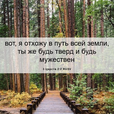 Picture 06 - 3 Царств 2:2 RUSV - вот, я отхожу в путь всей - Bible Verse Picture