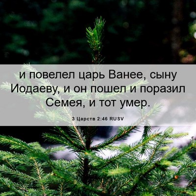 Picture 06 - 3 Царств 2:46 RUSV - и повелел царь Ванее, сыну - Bible Verse Picture