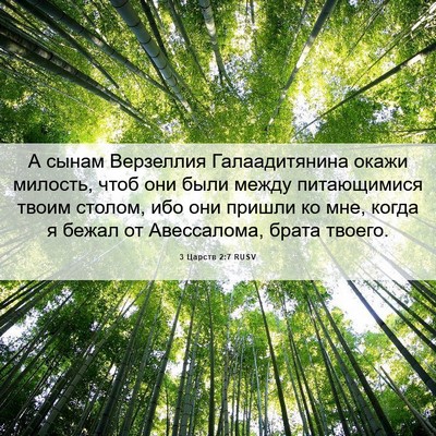 Picture 06 - 3 Царств 2:7 RUSV - А сынам Верзеллия - Bible Verse Picture