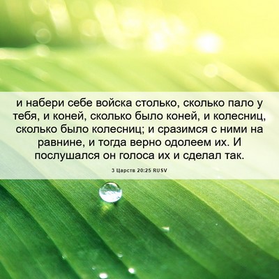 Picture 06 - 3 Царств 20:25 RUSV - и набери себе войска - Bible Verse Picture