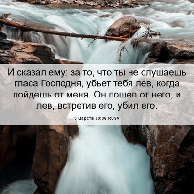 Picture 06 - 3 Царств 20:36 RUSV - И сказал ему: за то, что ты - Bible Verse Picture