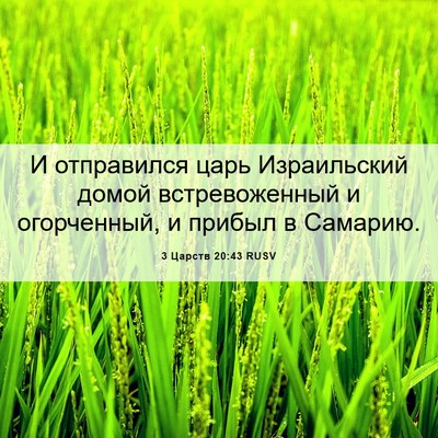 Picture 06 - 3 Царств 20:43 RUSV - И отправился царь - Bible Verse Picture