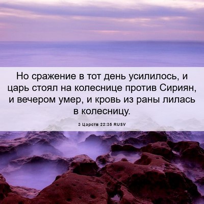 Picture 06 - 3 Царств 22:35 RUSV - Но сражение в тот день - Bible Verse Picture