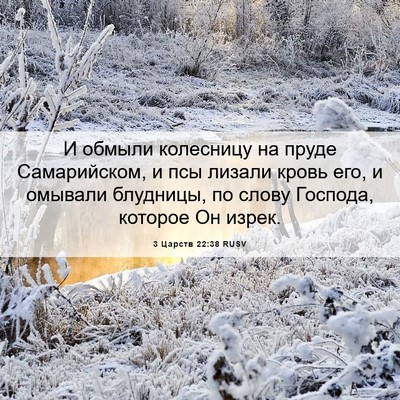 Picture 06 - 3 Царств 22:38 RUSV - И обмыли колесницу на - Bible Verse Picture