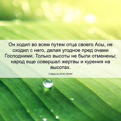 Picture 06 - 3 Царств 22:43 RUSV - Он ходил во всем путем отца - Bible Verse Picture