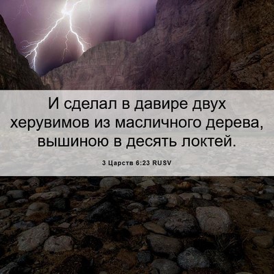 Picture 06 - 3 Царств 6:23 RUSV - И сделал в давире двух - Bible Verse Picture
