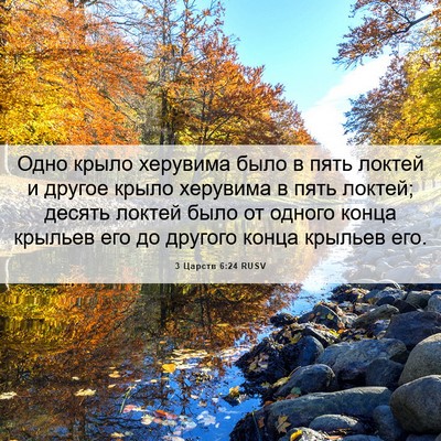Picture 06 - 3 Царств 6:24 RUSV - Одно крыло херувима было в - Bible Verse Picture