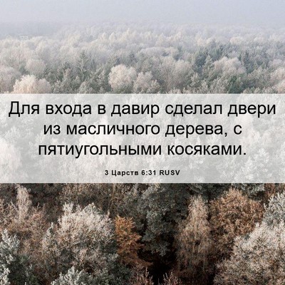 Picture 06 - 3 Царств 6:31 RUSV - Для входа в давир сделал - Bible Verse Picture