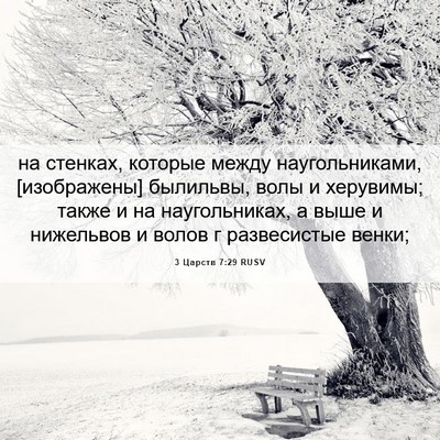 Picture 06 - 3 Царств 7:29 RUSV - на стенках, которые между - Bible Verse Picture