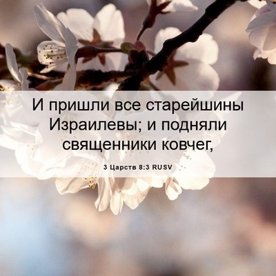 Picture 06 - 3 Царств 8:3 RUSV - И пришли все старейшины - Bible Verse Picture