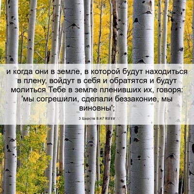 Picture 06 - 3 Царств 8:47 RUSV - и когда они в земле, в - Bible Verse Picture