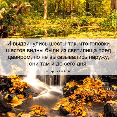 Picture 06 - 3 Царств 8:8 RUSV - И выдвинулись шесты так, - Bible Verse Picture