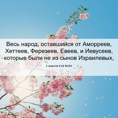 Picture 06 - 3 Царств 9:20 RUSV - Весь народ, оставшийся от - Bible Verse Picture