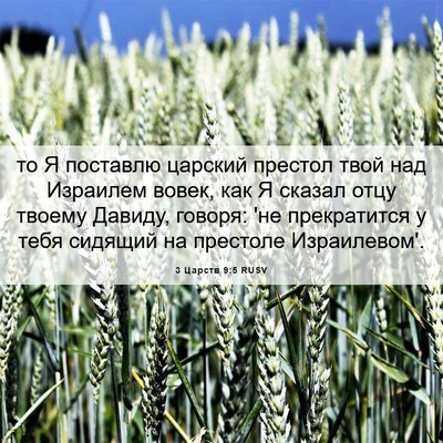 Picture 06 - 3 Царств 9:5 RUSV - то Я поставлю царский - Bible Verse Picture