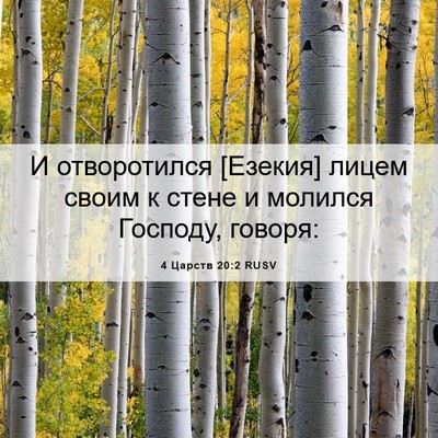 Picture 06 - 4 Царств 20:2 RUSV - И отворотился [Езекия] - Bible Verse Picture
