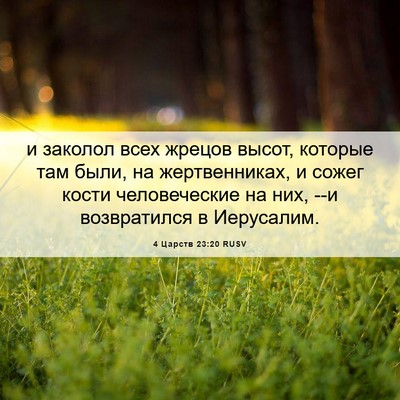 Picture 06 - 4 Царств 23:20 RUSV - и заколол всех жрецов - Bible Verse Picture