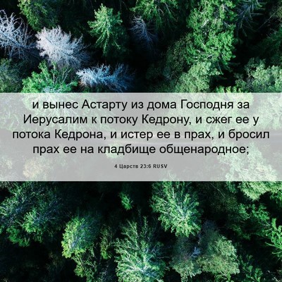 Picture 06 - 4 Царств 23:6 RUSV - и вынес Астарту из дома - Bible Verse Picture