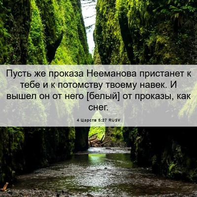 Picture 06 - 4 Царств 5:27 RUSV - Пусть же проказа Нееманова - Bible Verse Picture