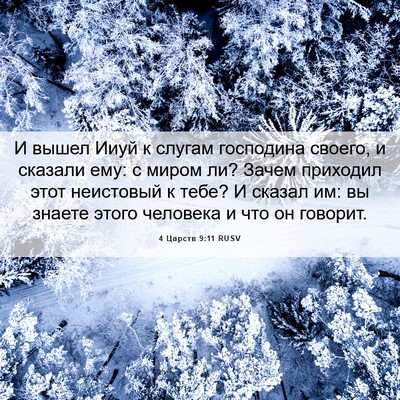 Picture 06 - 4 Царств 9:11 RUSV - И вышел Ииуй к слугам - Bible Verse Picture