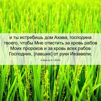Picture 06 - 4 Царств 9:7 RUSV - и ты истребишь дом Ахава, - Bible Verse Picture