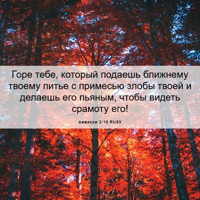 Picture 06 - Аввакум 2:15 RUSV - Горе тебе, который подаешь - Bible Verse Picture