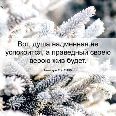 Picture 06 - Аввакум 2:4 RUSV - Вот, душа надменная не - Bible Verse Picture